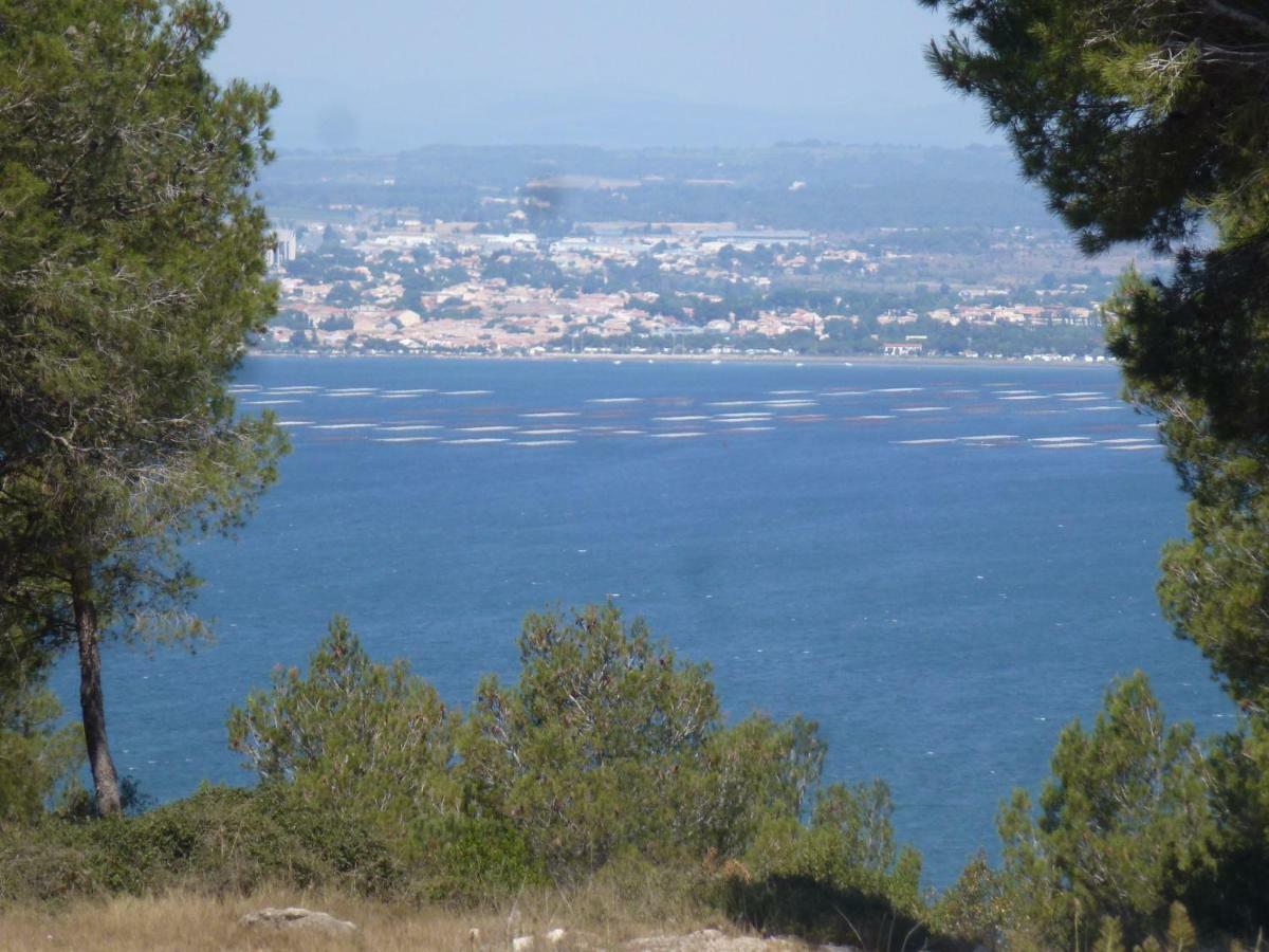 Séjour chez l'habitant Marches Du Soleil - *