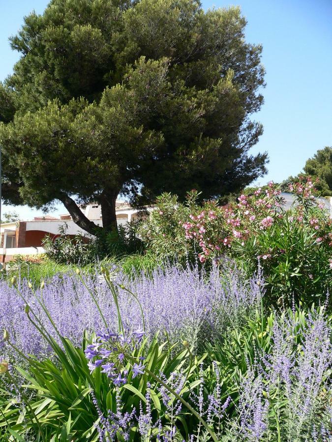Séjour chez l'habitant Marches Du Soleil - *
