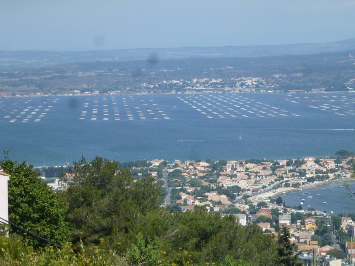 Marches Du Soleil - Séjour chez l'habitant *